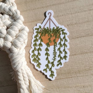 May include: A white sticker with a green plant hanging in a terracotta pot. The plant has long trailing vines and the text "brittany" is written on the sticker.