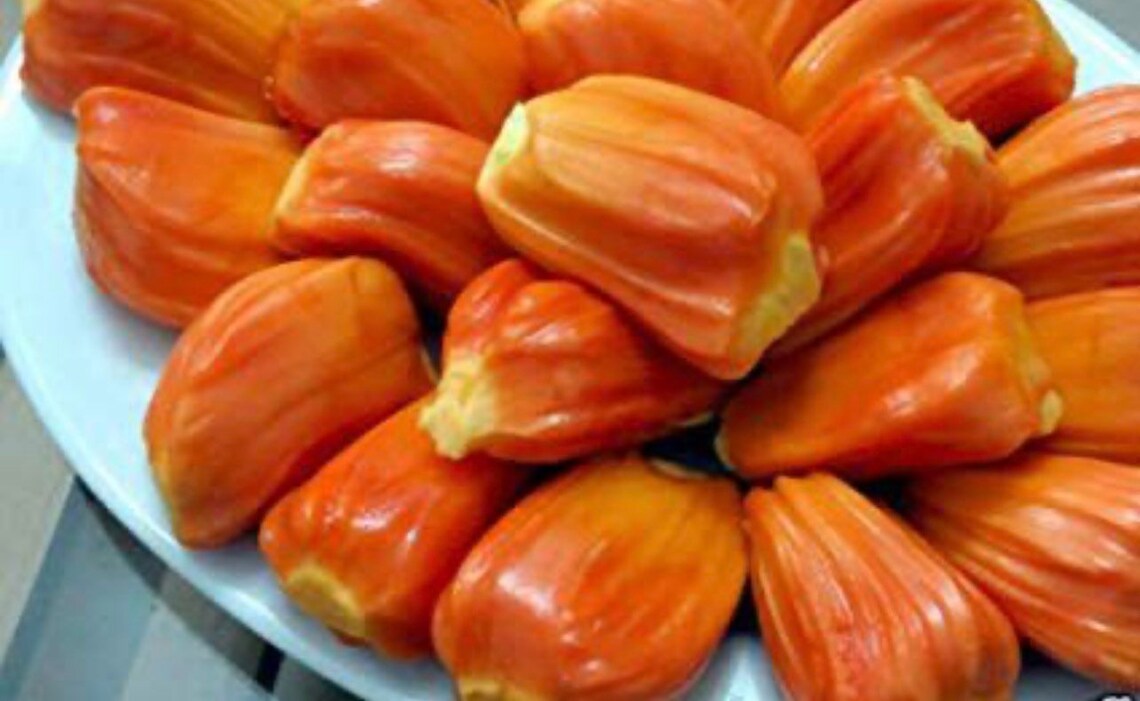 Jackfruit tree 23 ft tall ORANGE CRUSH variety grafted live Etsy