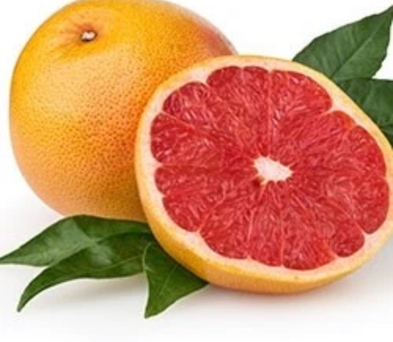 Red navel orange grafted 34 feet tall live tree Etsy