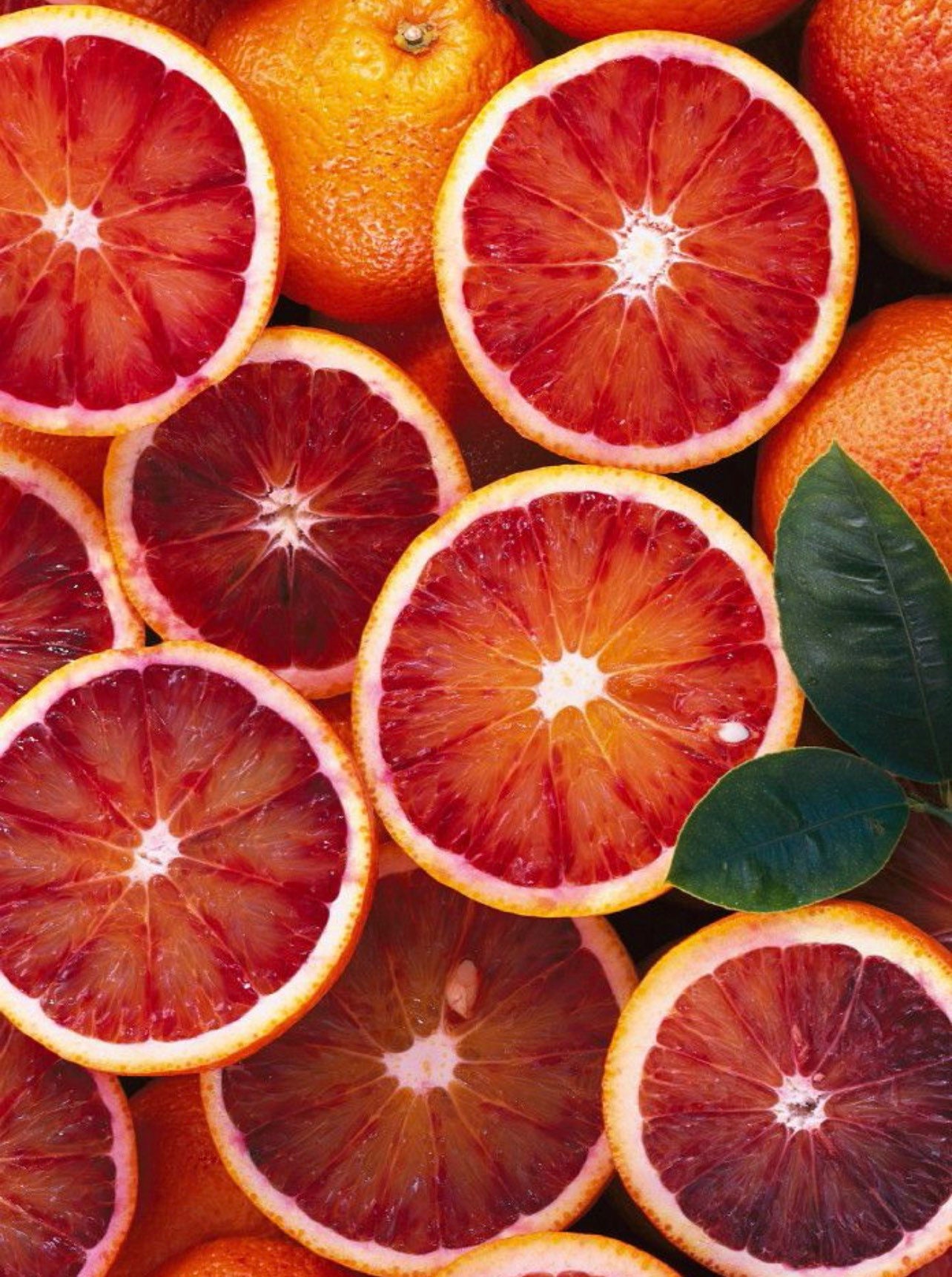 Red navel orange grafted 34 feet tall live tree Etsy