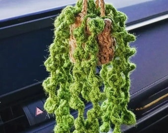 Hanging Mirror Plant