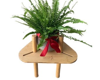 Minimalist Wooden Plant Stand/Side Table for Small Spaces - Eco-Friendly, Easy-to-Assemble, and Multi-Functional