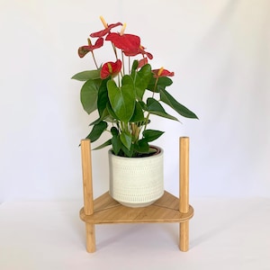 May include: A red Anthurium plant in a white ceramic pot sits on a triangular wooden plant stand. The stand has three legs and is made of bamboo.