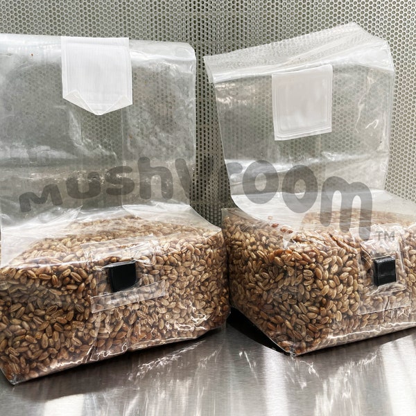 4lb Sterilized Grain Spawn Bags - TWO x 2lb bags Biodegradable Rye Berry