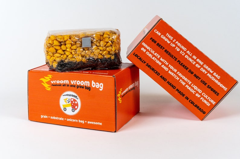 Vroom Vroom Bag Allinone Mushroom Grow Bag grain Spawn Etsy