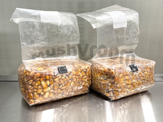 BULK 3 PACK: Sterilized Whole Milo w/ Self Healing Injection Port (3x4lb  Bags) — Leafcutter Farms