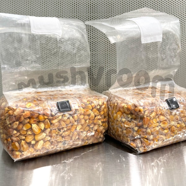 Sterilized Grain Spawn Bags - Biodegradable Corn