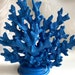 see more listings in the Coral Reef Stones section