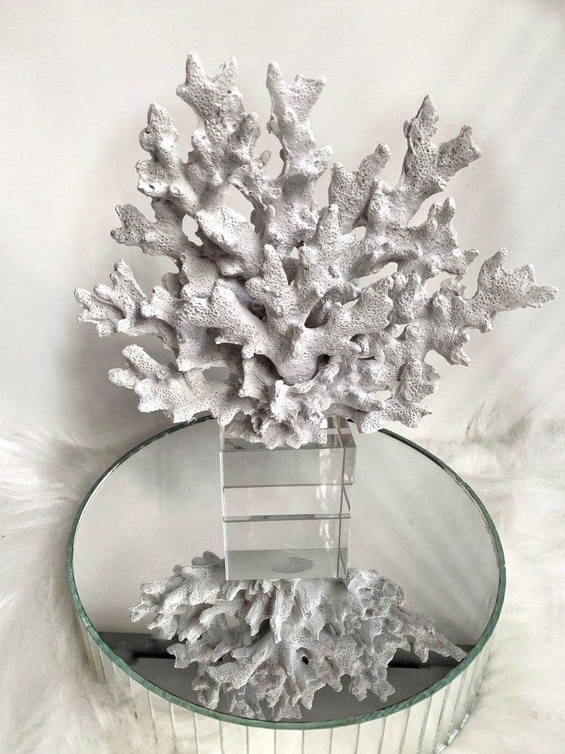 Decorative Orange Crystalline Coral Reef Coral Decor Coral Etsy