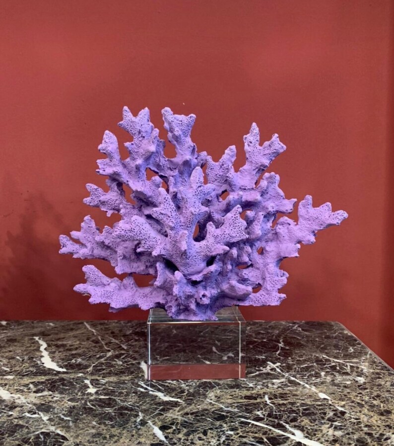 Decorative Orange Crystalline Coral Reef Coral Decor Coral Etsy