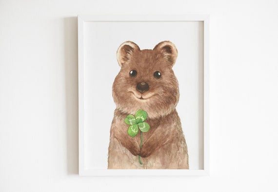 Quokka,good Luck, Four Leaf Clover, Endangered Species Animal