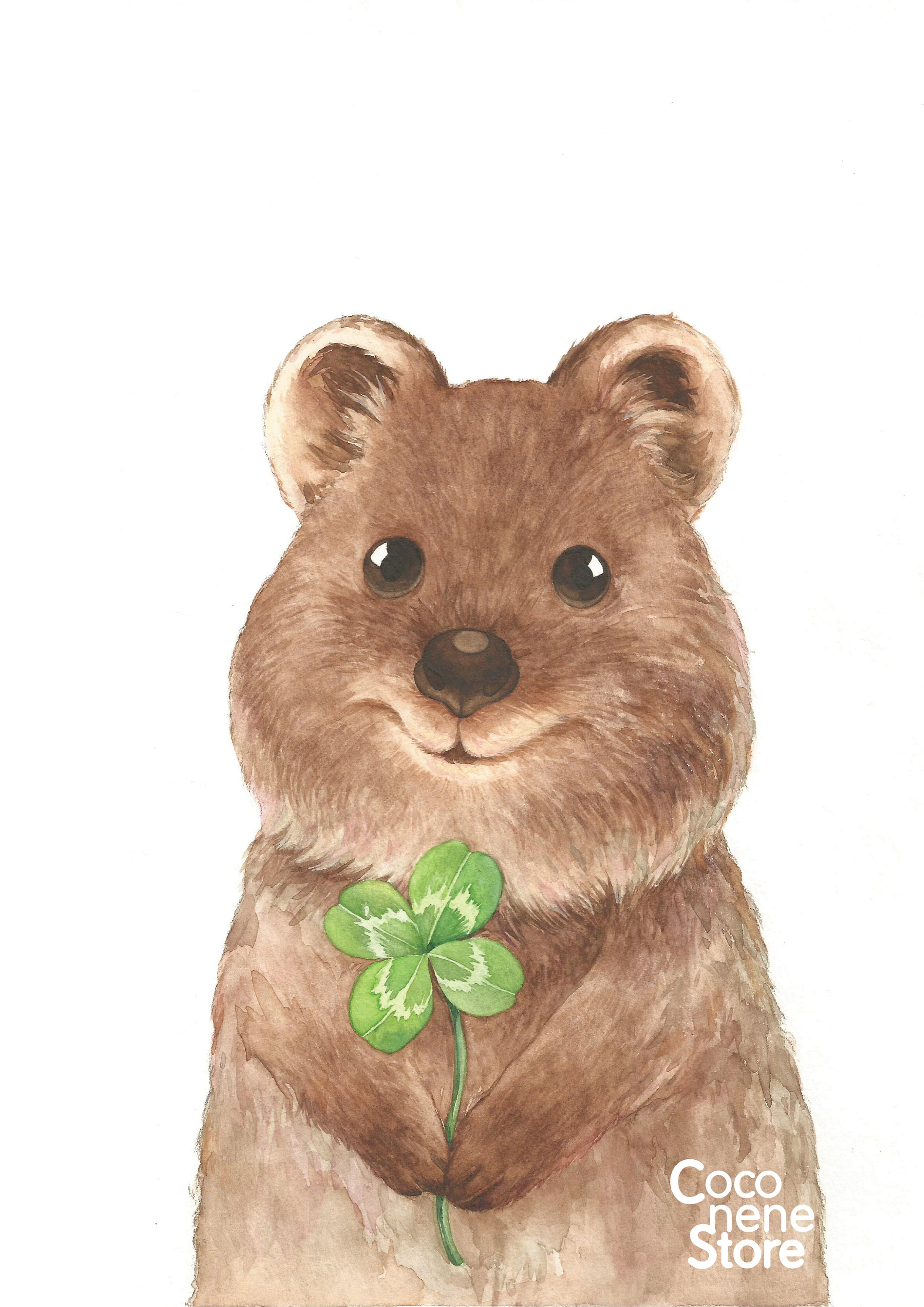 Quokka,good Luck, Four Leaf Clover, Endangered Species Animal