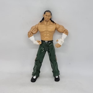 Matt Hardy | Vintage WWE &quot;Jakks Pacific&quot; Wrestling Action Figure |