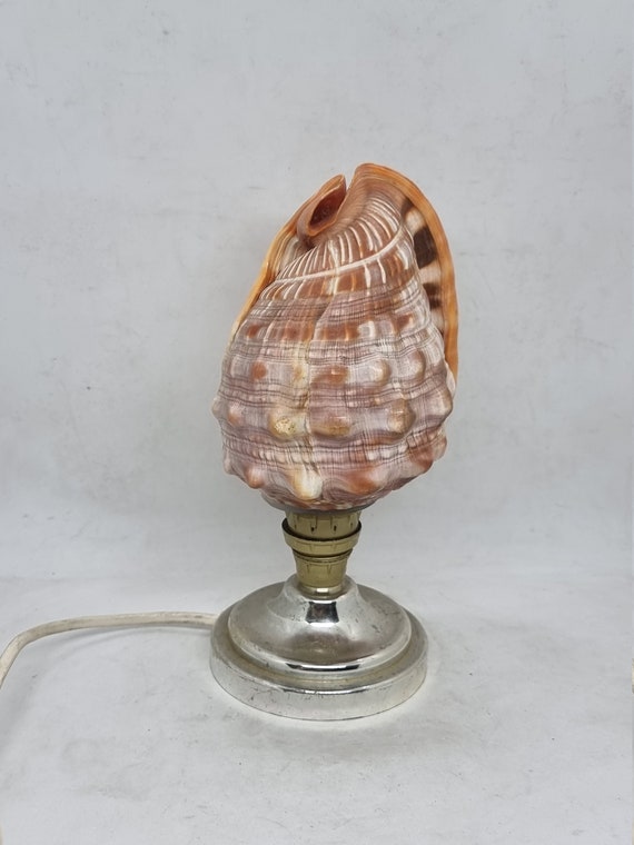 Vintage Conch Shell Lamp Antique Lamp Night Lamp Etsy UK
