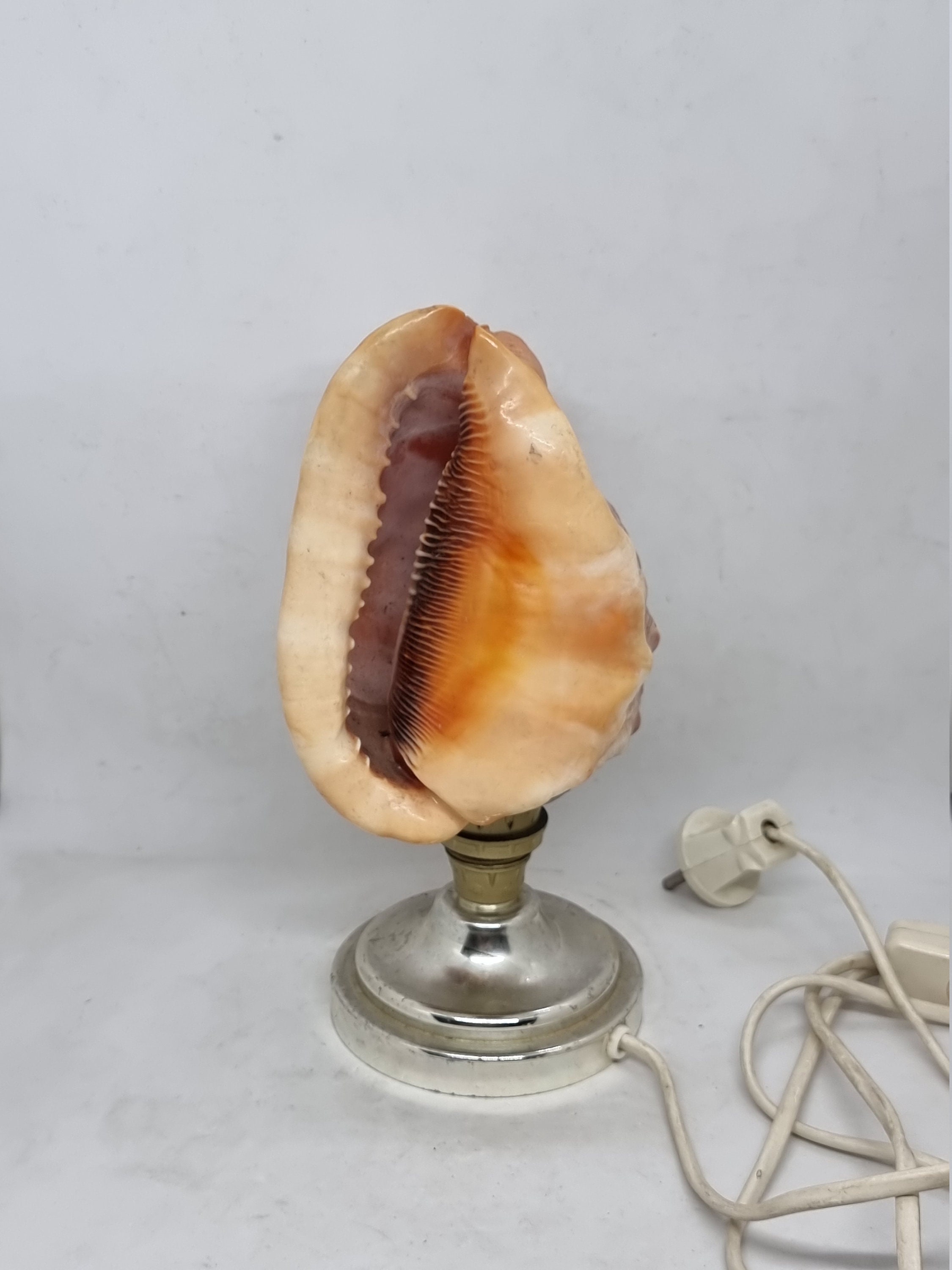 Vintage conch on sale shell lamp