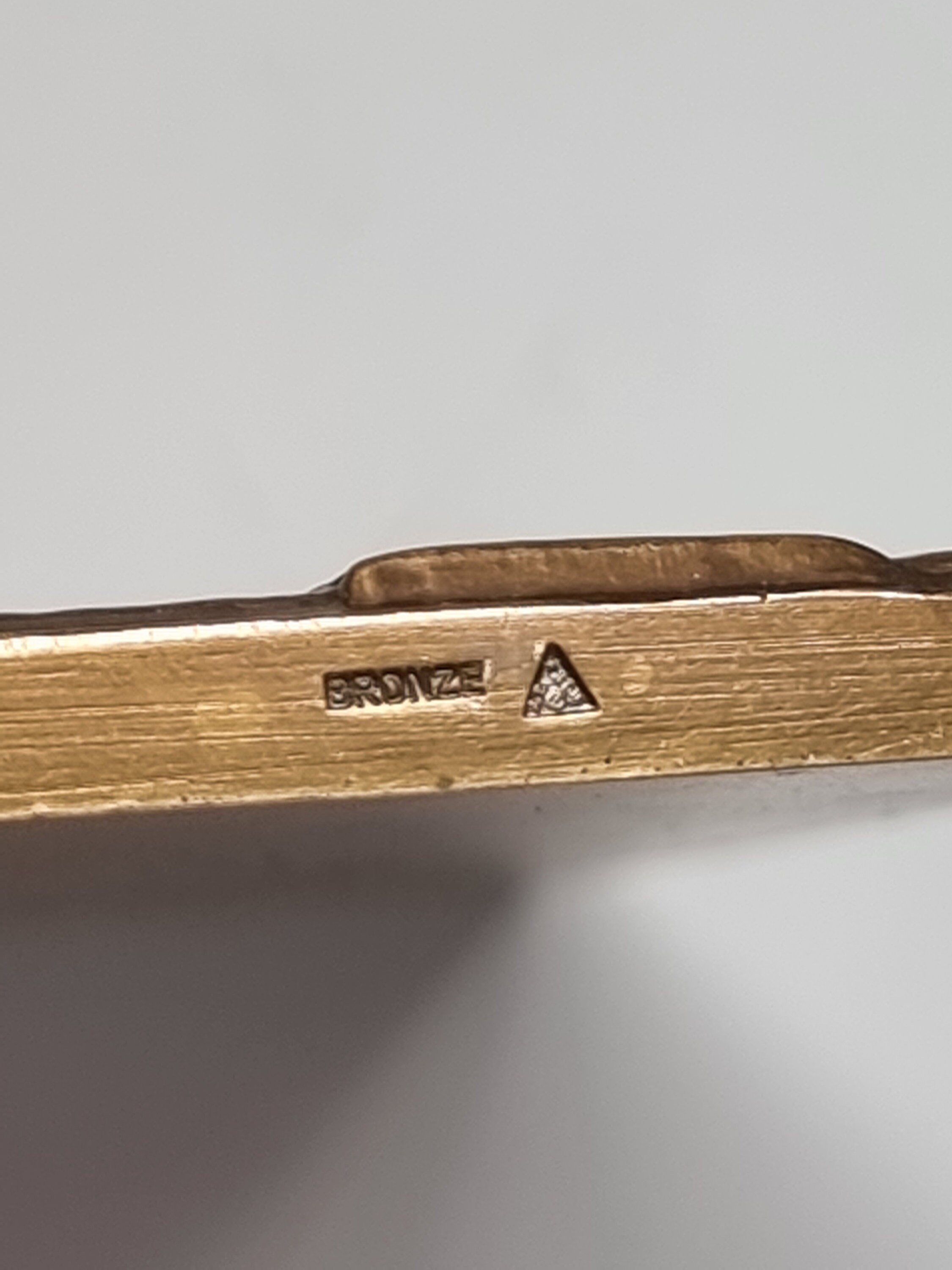 Médaille Plaque Bronze R. Delamarre 'Les Provinces De France - Savoie' – XXe Siècle – 9x5 Cm