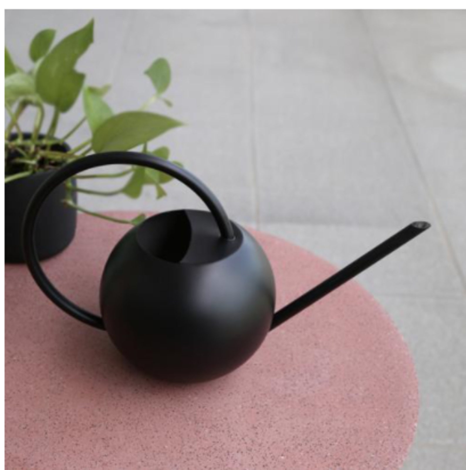 Watering Can 1000ml Long Nozzle Stainless Steel Metal European Etsy