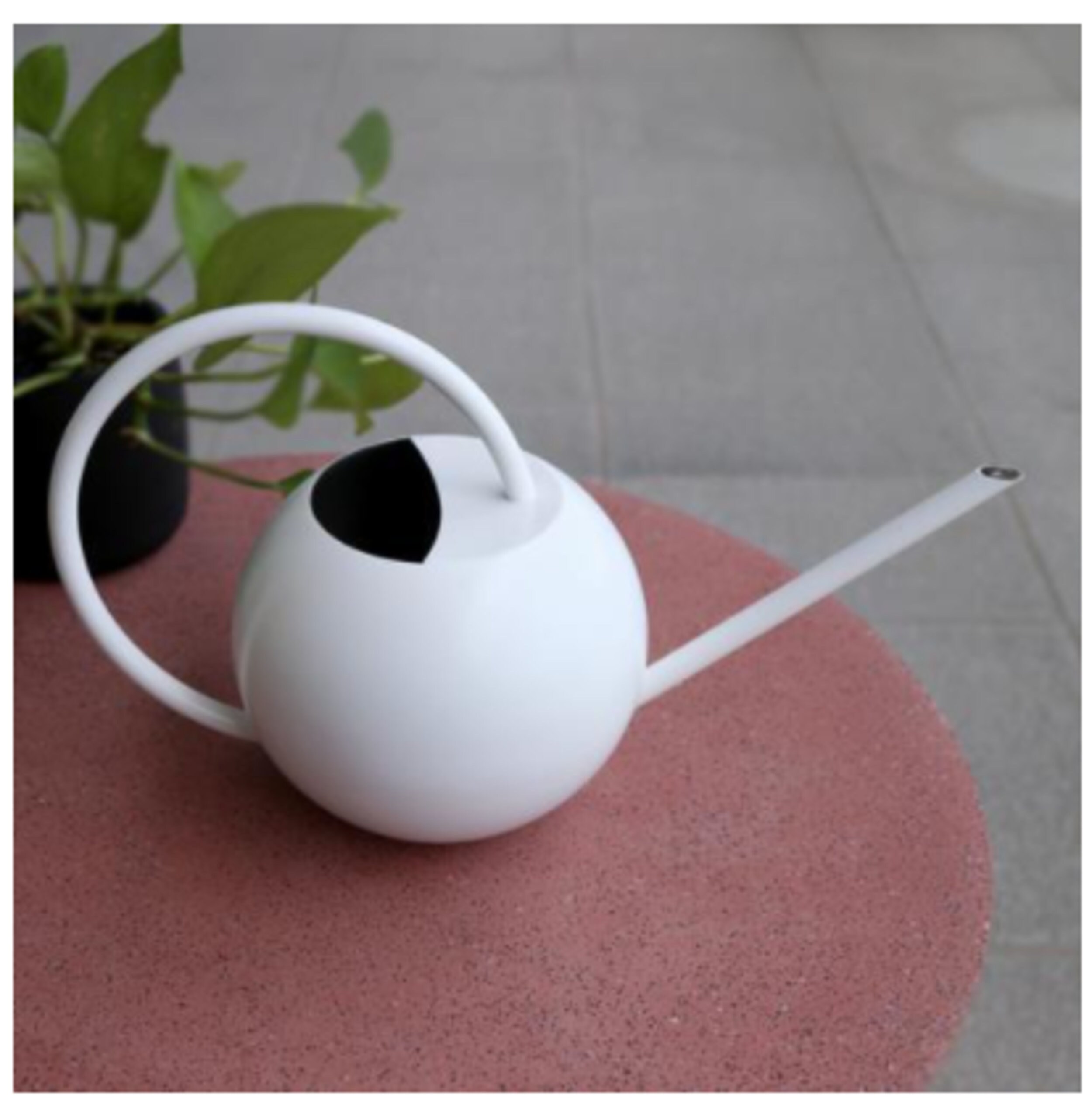 Watering Can 1000ml Long Nozzle Stainless Steel Metal European Etsy