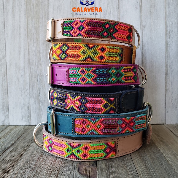 Mexican Dog Collar Etsy