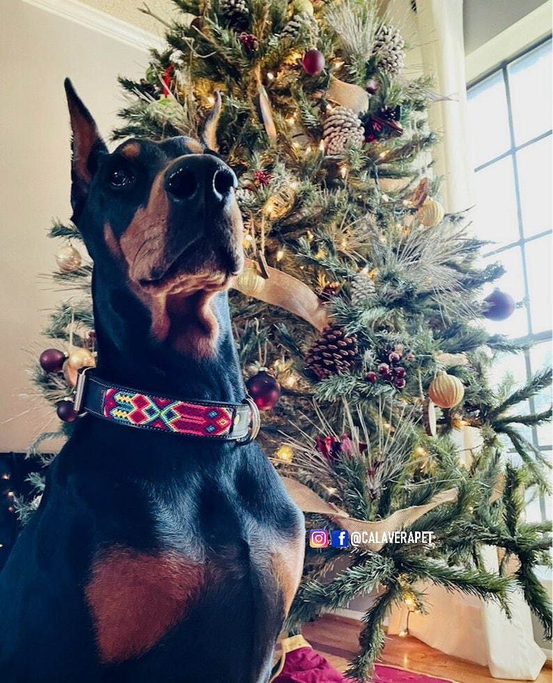 XLXXL Mexican Dog Collar Handmade by Artisans