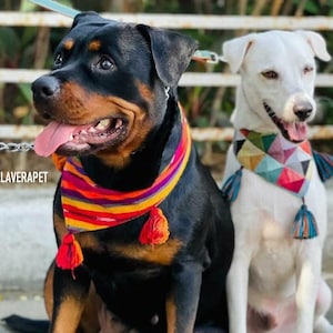 May include: Two dogs wearing colorful bandanas with tassels. The dog on the left is a black and tan Rottweiler, and the dog on the right is a white dog. Both dogs are sitting and looking to the side.