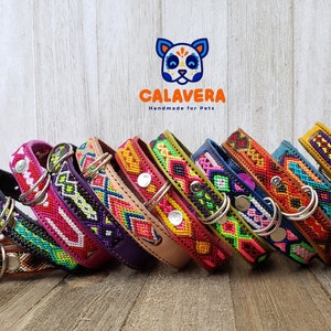 S - Leather Dog Collar Handmade by Mexican Artisans
