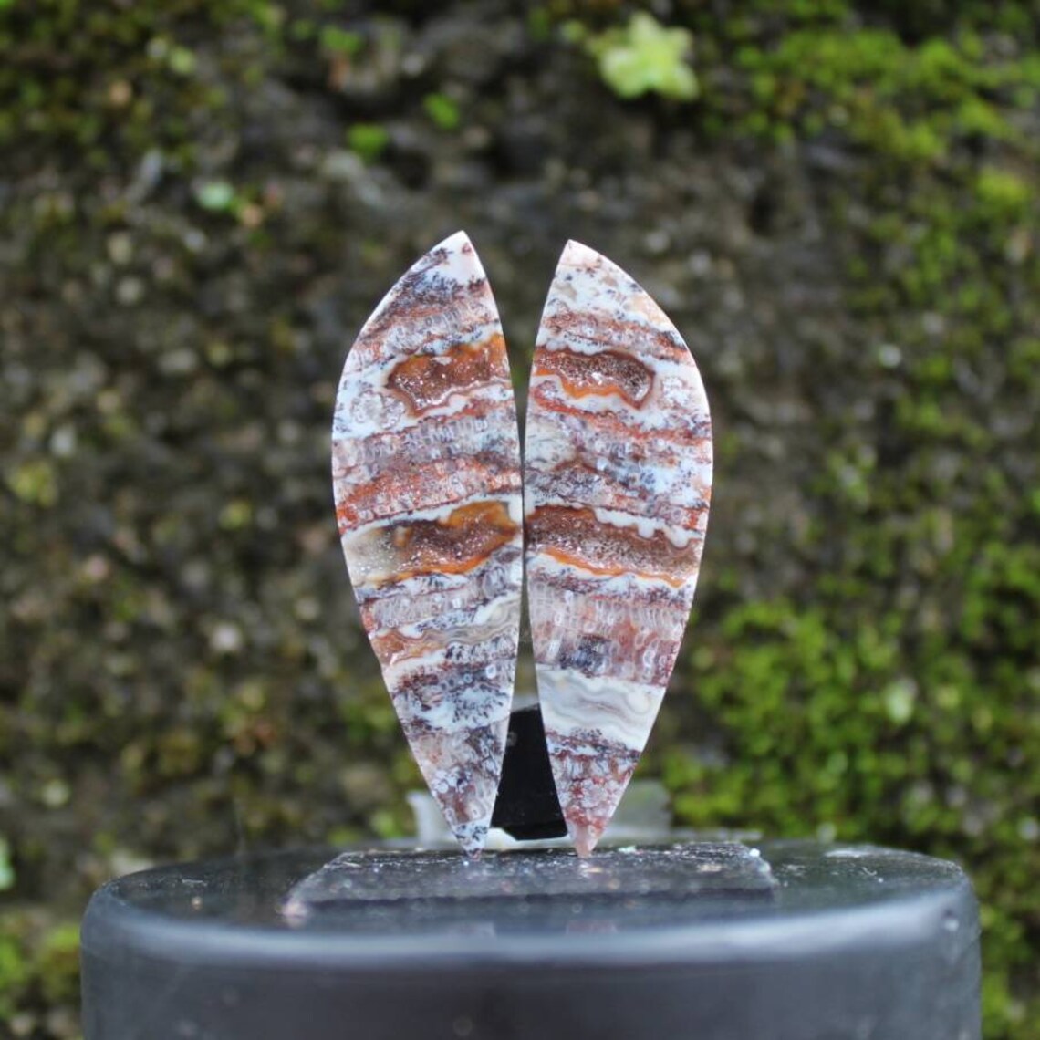 Plume Fossil coral druzy pair Etsy