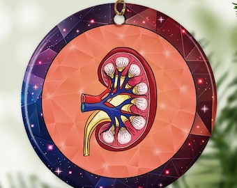 Kidney Stained Glass Ornament - Medically Ornament - Surgery Ornament - Ornament For Kidney Surgeon - Treatment Gift - Ornament Christmas