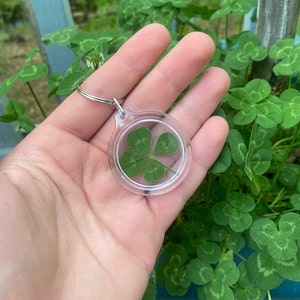 Real Genuine Four Leaf Clover Good Luck Charm Keychain