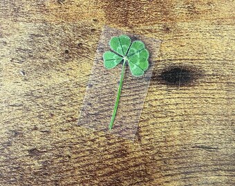 Real Four Leaf Clover LAMINATED Leaf Clover Lucky Charm