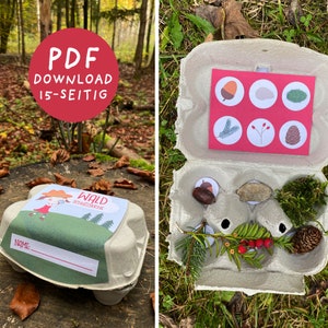Caixa de ovos de caça ao tesouro florestal | PDF de 15 páginas | Aniversário infantil caça ao tesouro | Bingo da Natureza | Modelo de caça ao tesouro | Download digital