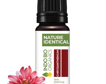 Chrysanthemum Oil