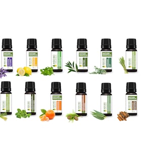 Peut inclure: Un ensemble de 12 flacons d'huiles essentielles avec des bouchons noirs et des étiquettes. Les flacons sont disposés en deux rangées de six, chaque flacon contenant une huile essentielle différente. Les huiles sont étiquetées avec leurs noms, tels que la lavande, le citron et l'eucalyptus. Les flacons sont entourés de petites branches d'herbes et de fleurs.