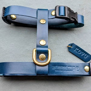 Walpier Buttero Premium Leather Cat Harness - Peacock Blue