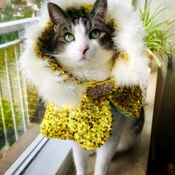 Sequins & Silk Cape, Pet costume, Gatsby cape, cat costume, dog outfit, cape, dog cape, bridal cape, pet gifts, luxury