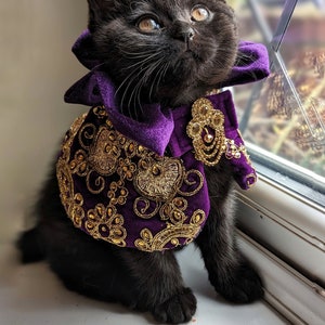 ROYALTY IN PURPLE reversible velvet cape - cat costume, dog outfit, gatsby cape, dog cape, cat cape, purple cape, dog costume, velvet cape