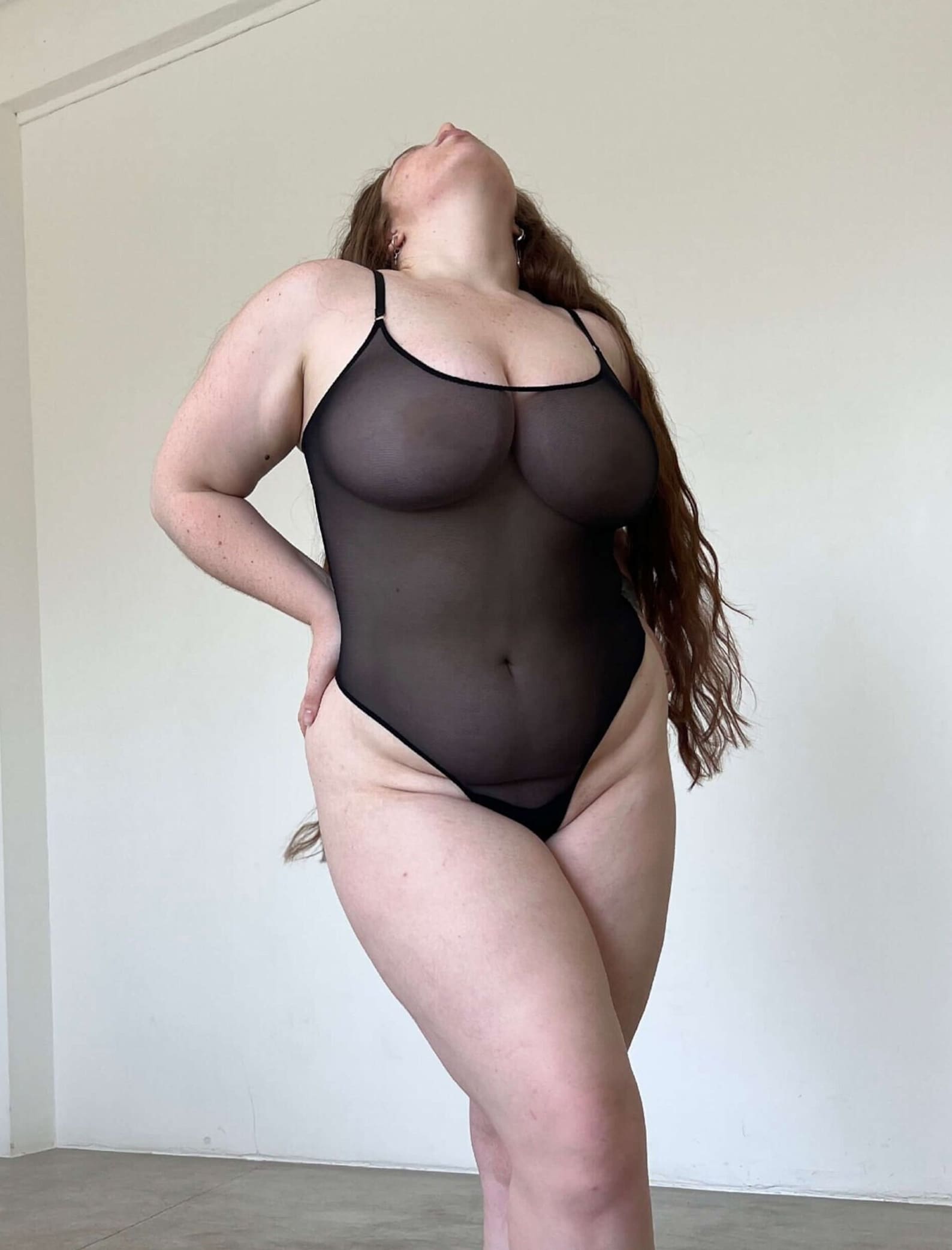 Plus Size Bodysuit, Mesh Bodysuit, See Through Bodysuit, Sheer Bodysuit