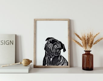 pug home accessories