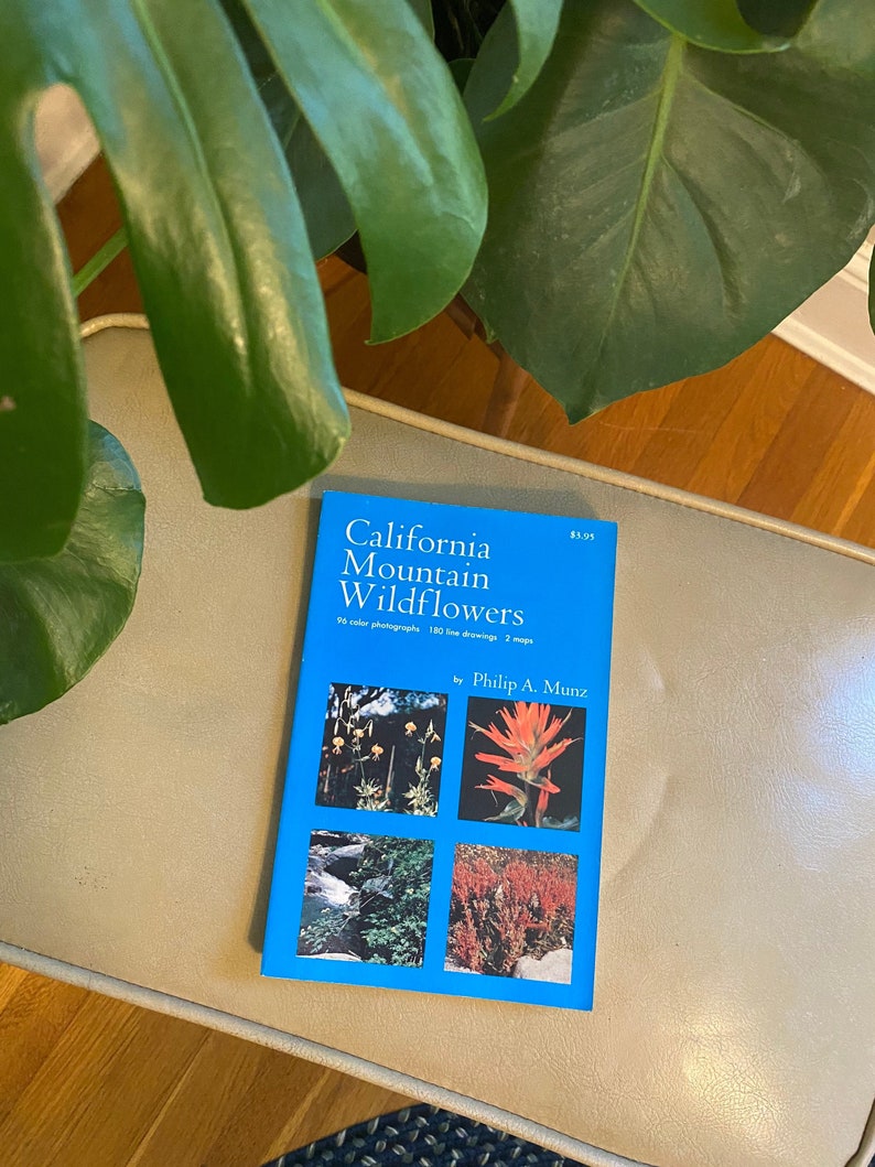 Vintage Wildflower Book California Mountain Wildflowers Etsy