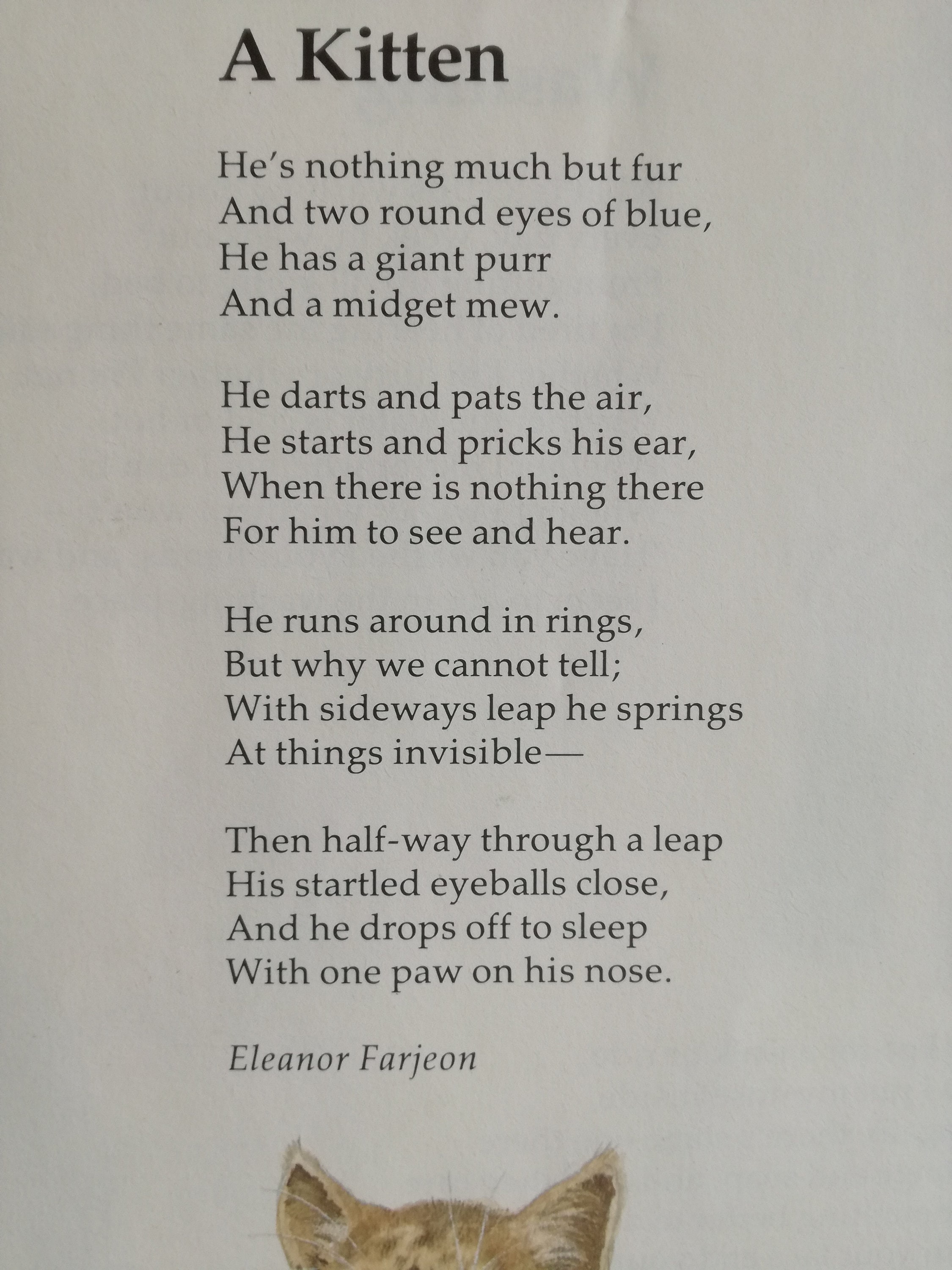 A Kitten by Eleanor Farjeon, a children's poem about how cute a kitten