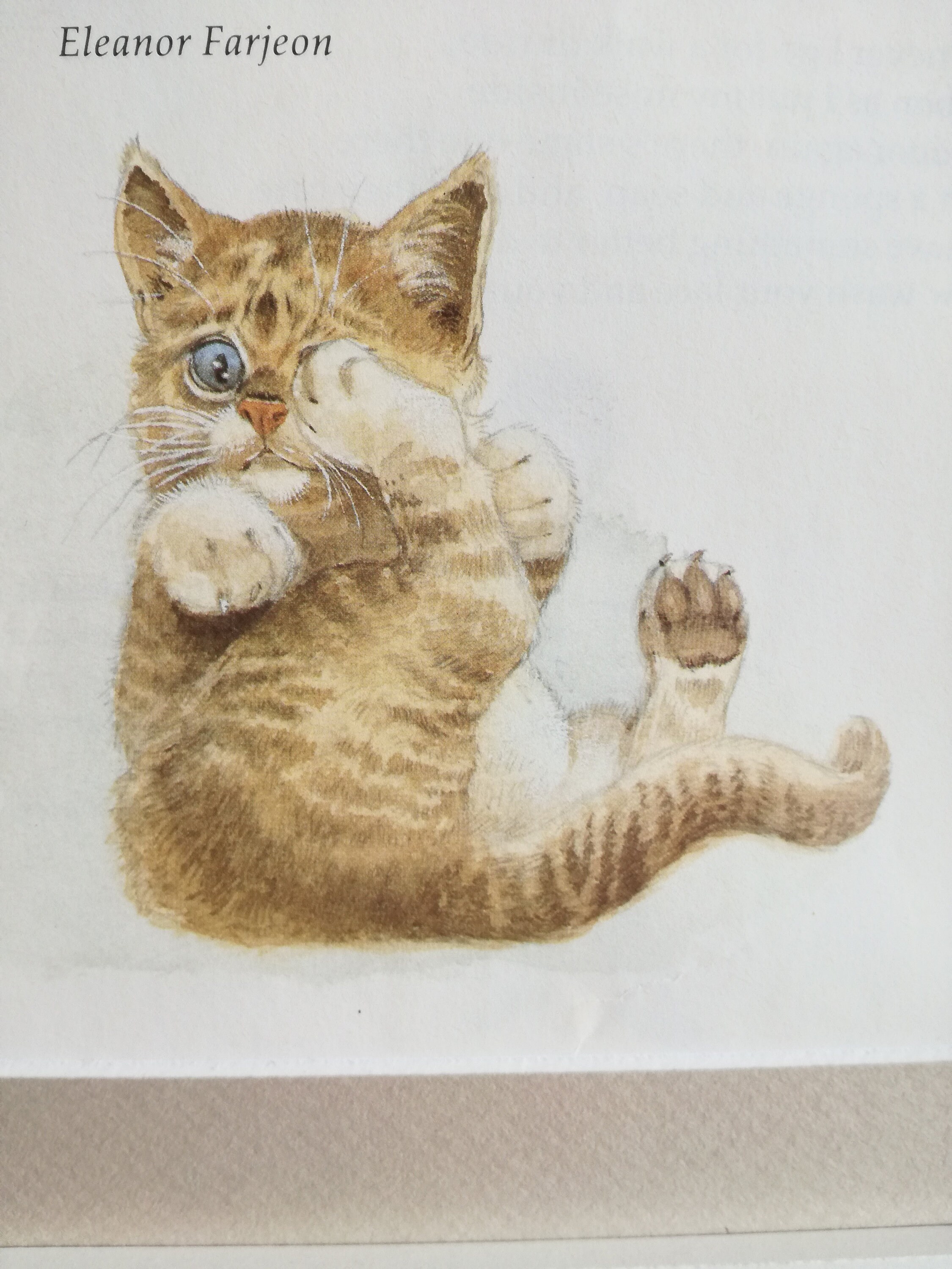 A Kitten By Eleanor Farjeon A Children s Poem About How Etsy