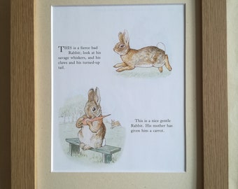 Beatrix Potter Rescued Book Page Fierce Rabbit Gentle Rabbit - professionally mounted and framed