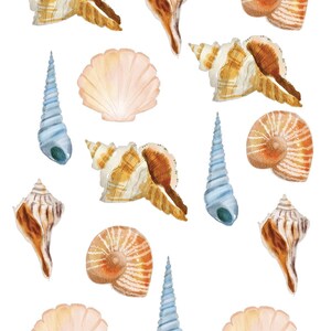 May include: A collection of seashells in various shapes, sizes, and colours. The shells are a mix of white, brown, orange, and blue. Some shells are smooth and others have intricate patterns.