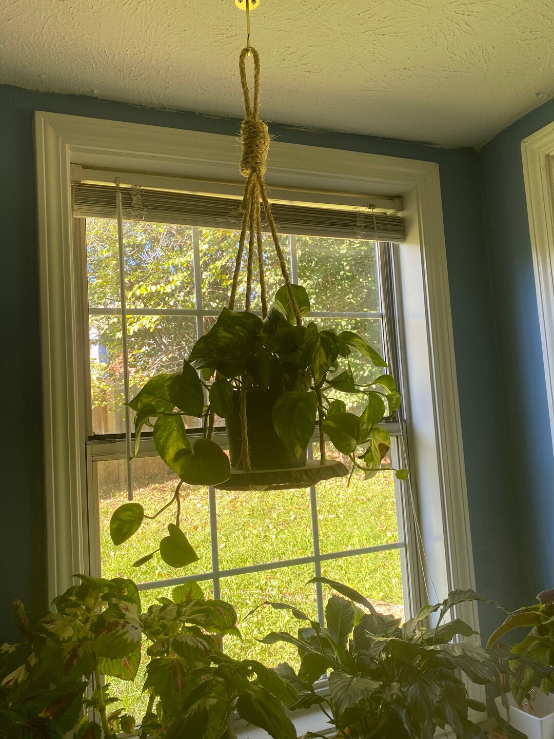 Hanging Plant Shelf Plant Hanger for High Ceiling Long Etsy