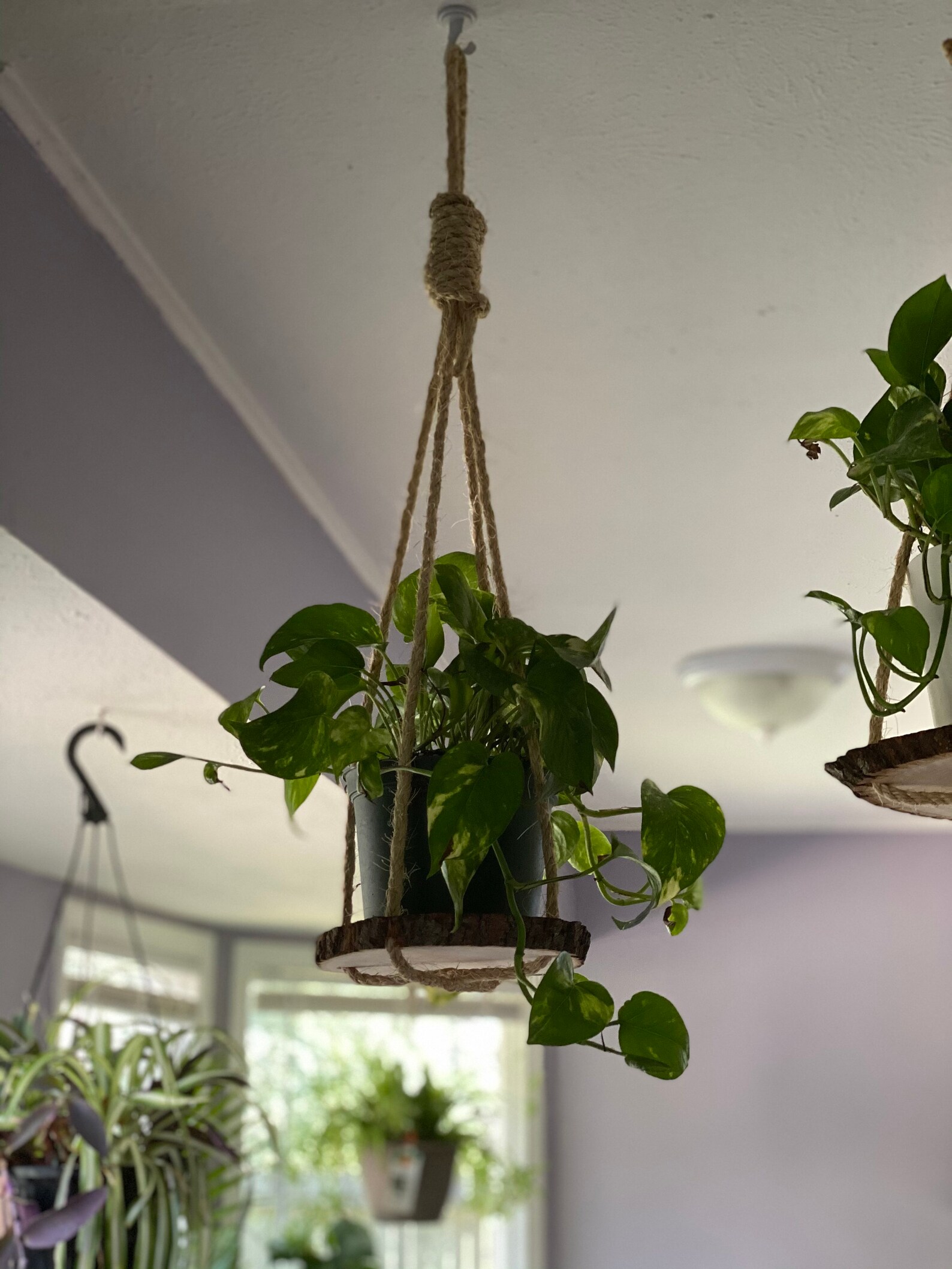 Hanging Plant Shelf Plant Hanger for High Ceiling Long Etsy