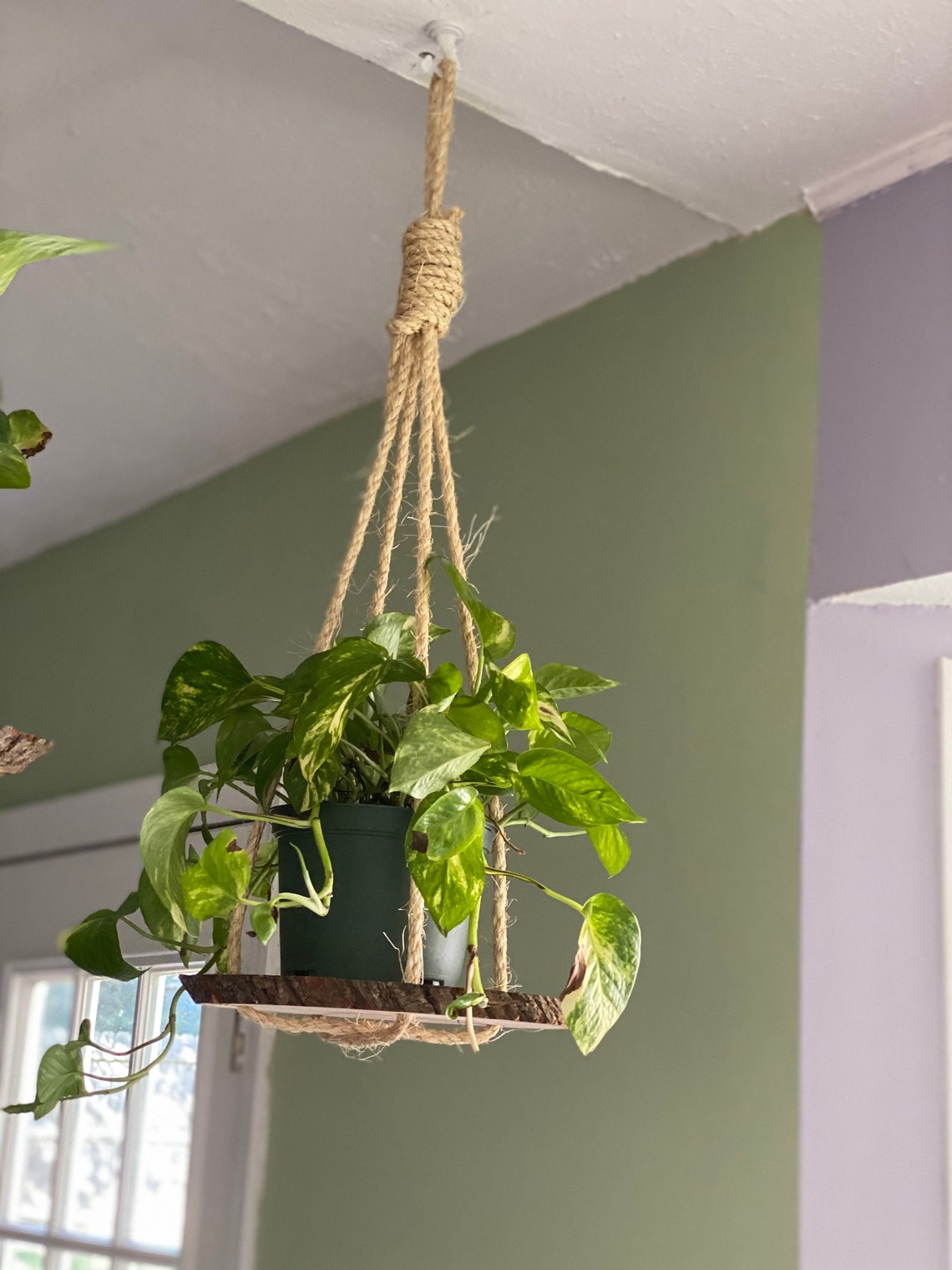 Hanging Plant Shelf Plant Hanger for High Ceiling Long Etsy