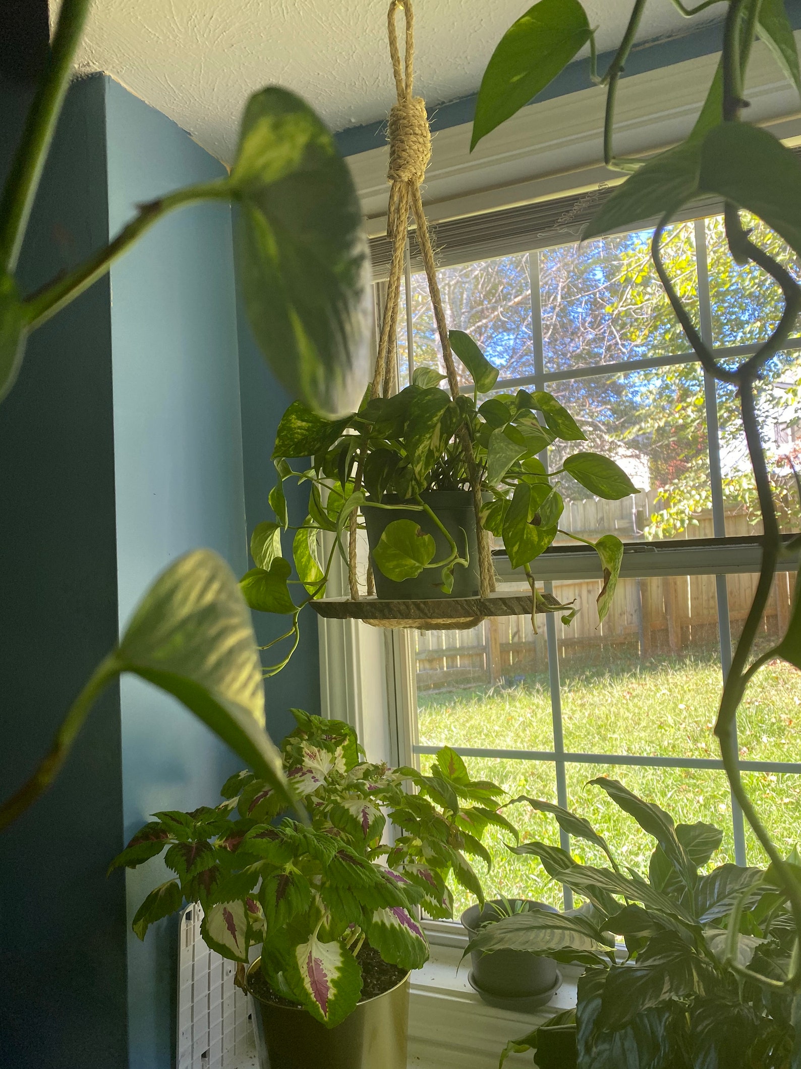 Hanging Plant Shelf Plant Hanger for High Ceiling Long Etsy