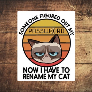 Alguien descubrió mi contraseña - Ahora tengo que cambiar el nombre de mi gato - Pegatinas de seguridad cibernética