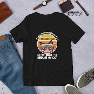 Op de afbeelding: Zwart T-shirt met een retro-grafische afbeelding van een chagrijnige kat met de tekst "Iemand heeft mijn wachtwoord ontdekt. Nu moet ik mijn kat hernoemen."