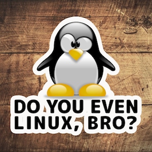 Pode incluir: Um adesivo branco com um pinguim de desenho animado e o texto "Do you even Linux, bro?" em um fundo de madeira marrom.
